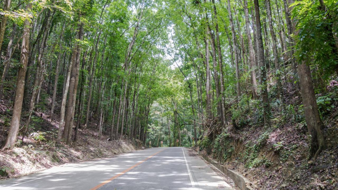 Alaia Studios Panglao Bagian luar foto